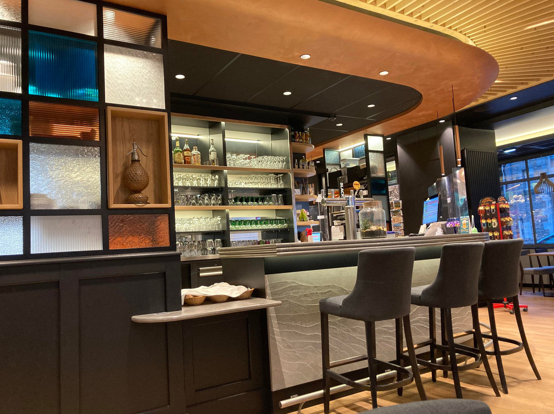 法兰西酒店主图