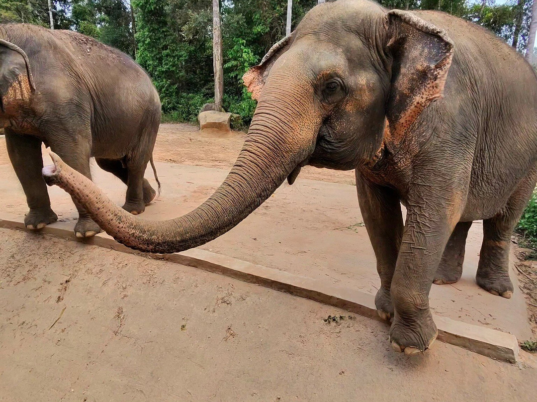 珍珠王国野生动物园-富国岛必去景点