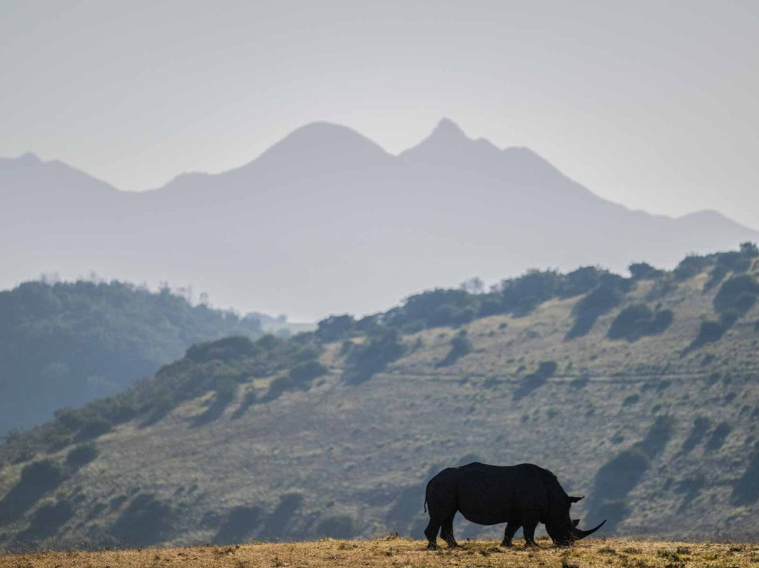 波特利斯科普私人猎区酒店主图