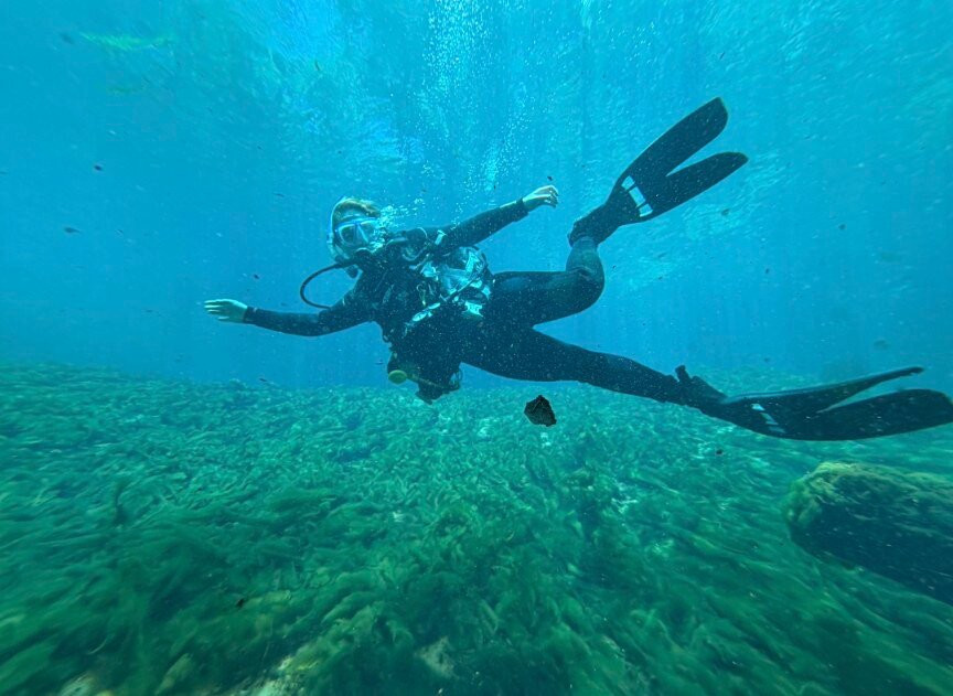 American Pro Diving Center-克里斯特尔里弗必去景点