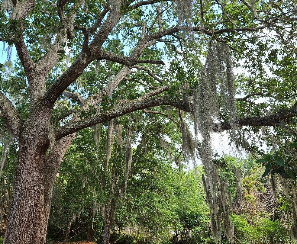 South Lake Howard Nature Park-温特黑文必去景点