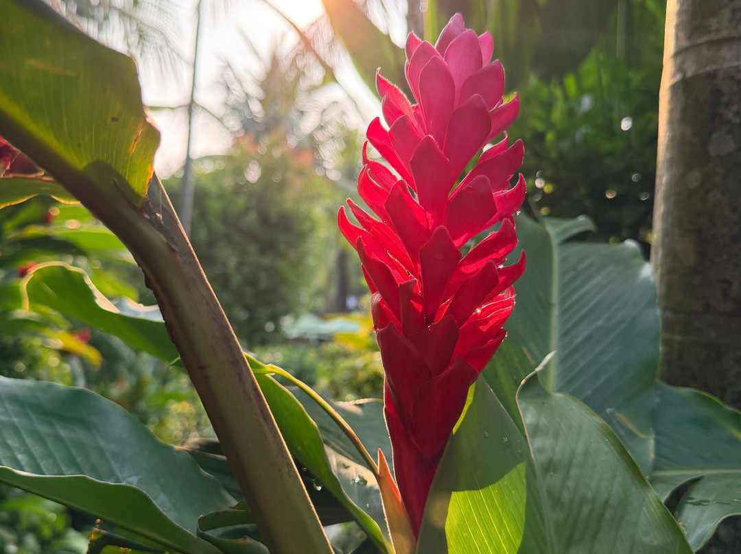 会安拉西埃斯特Spa度假村主图