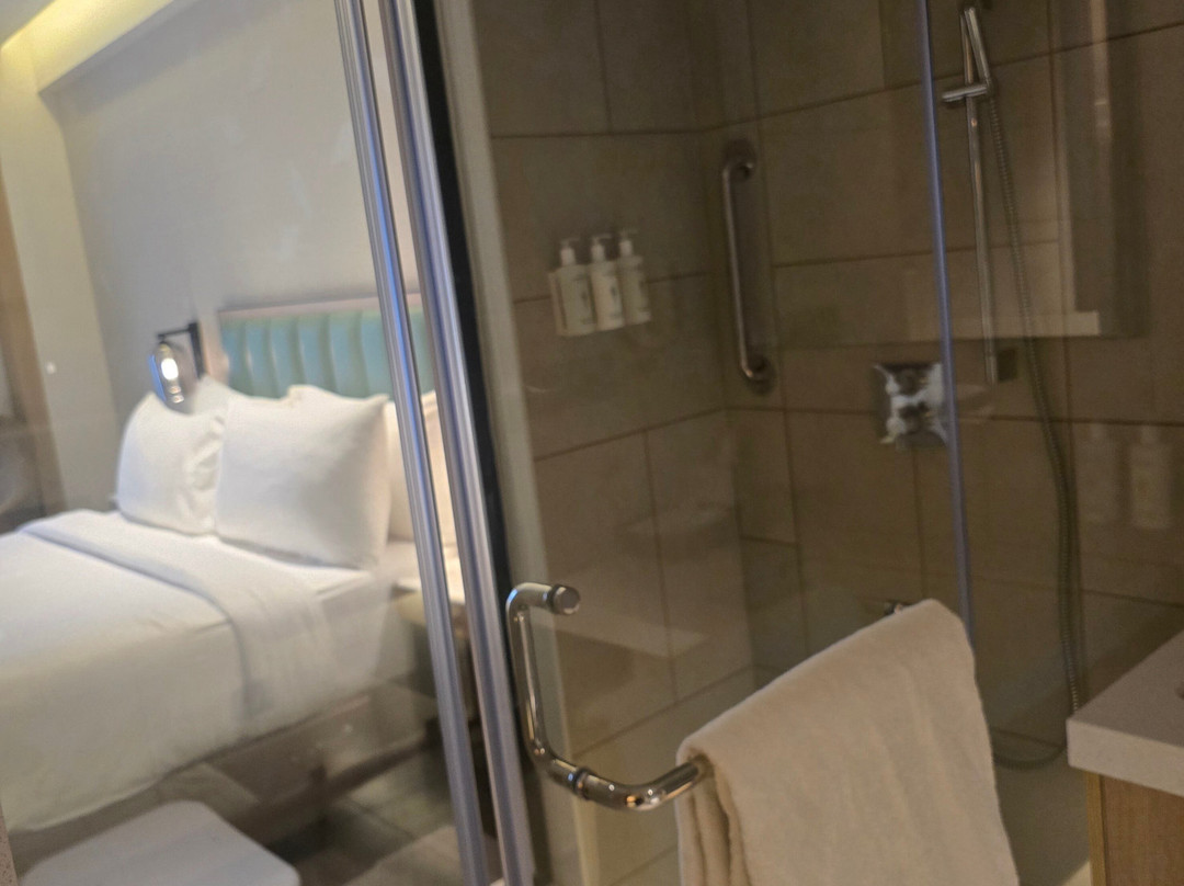 苏拉特市中心希尔顿花园酒店主图