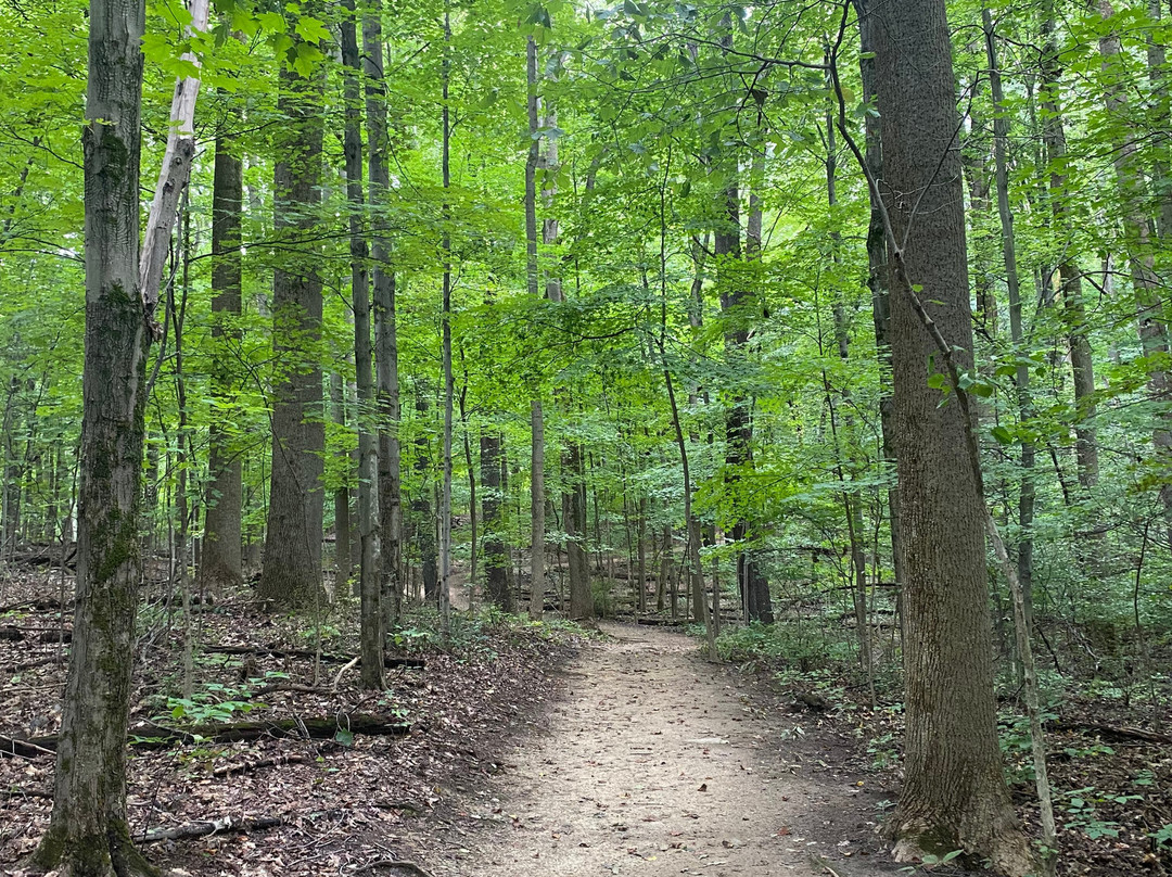 F.A. Seiberling Nature Realm-阿克伦必去景点