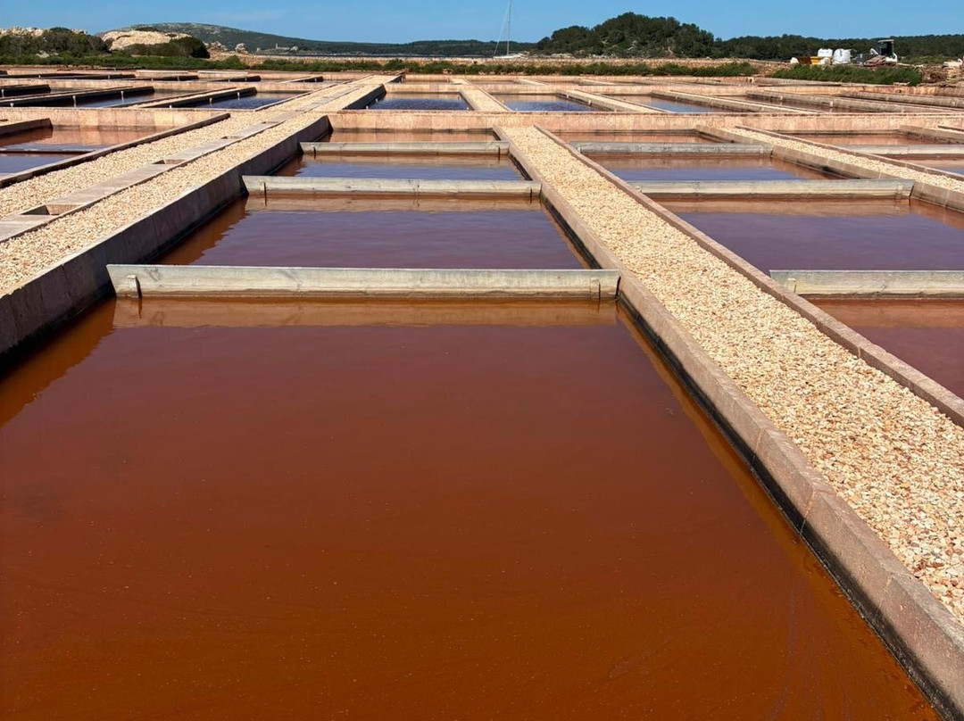 Sal de Menorca - Salinas de La Concepción-Mercadal必去景点