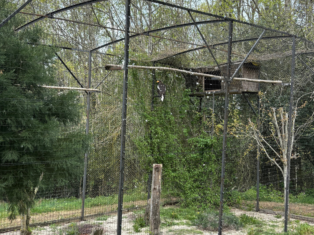 Parc Animalier de Pradinas-Pradinas必去景点