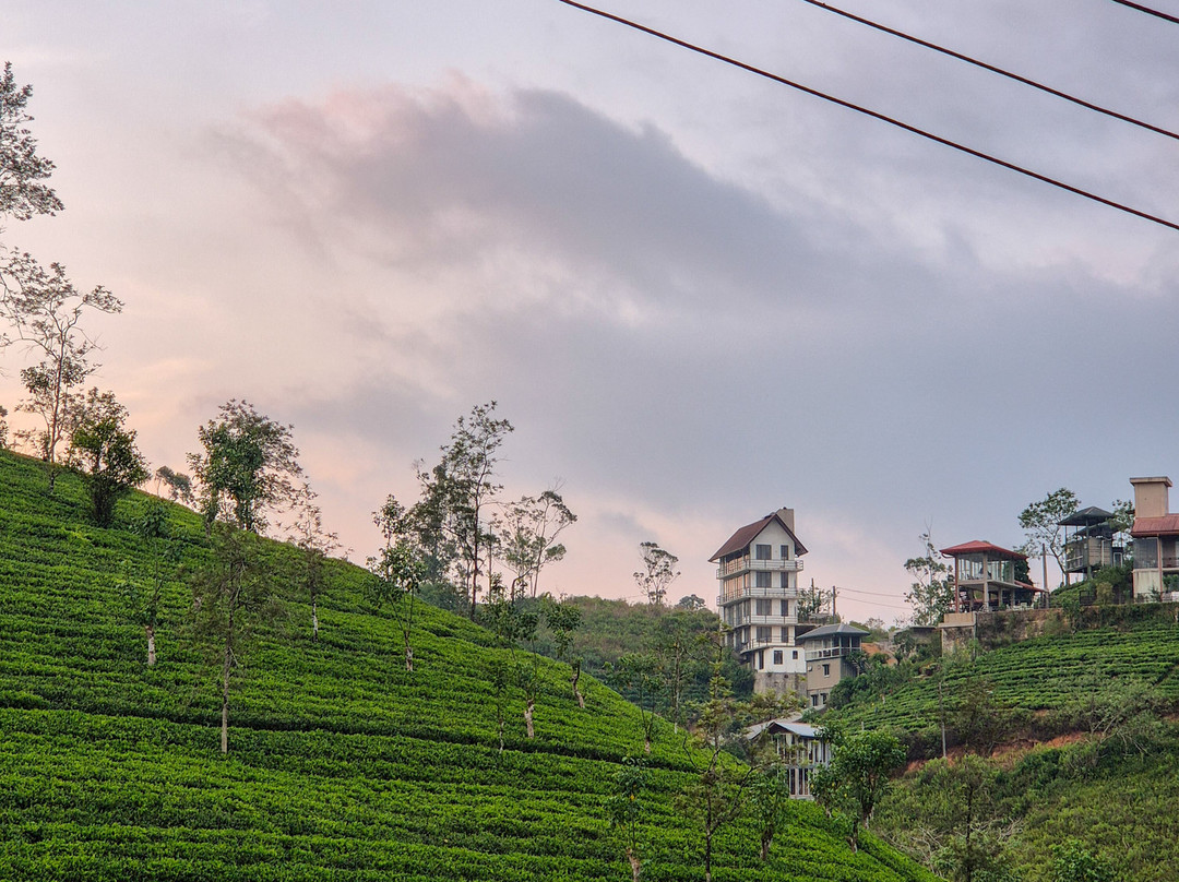 Amazing Travels & Tours Sri Lanka-科奇克德必去景点