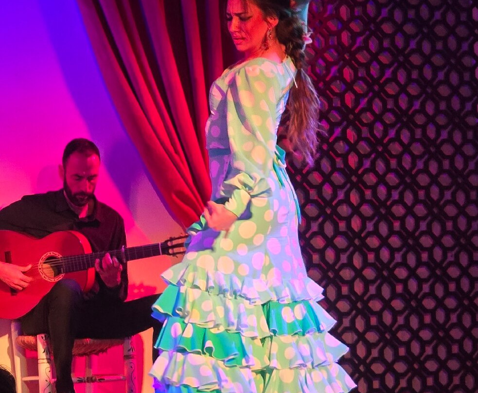Palacio Flamenco Granada-格拉纳达必去景点