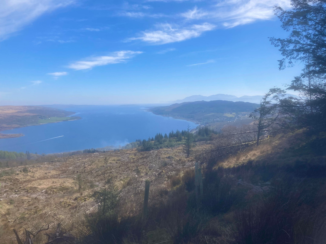 Kilfinan Community Forest