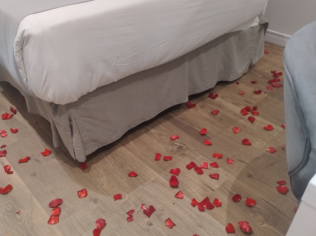帕拉蒂苹果屋旅馆主图