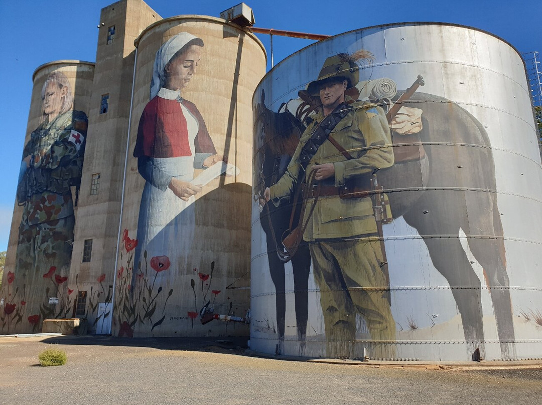 Devenish Silo Art-Devenish必去景点