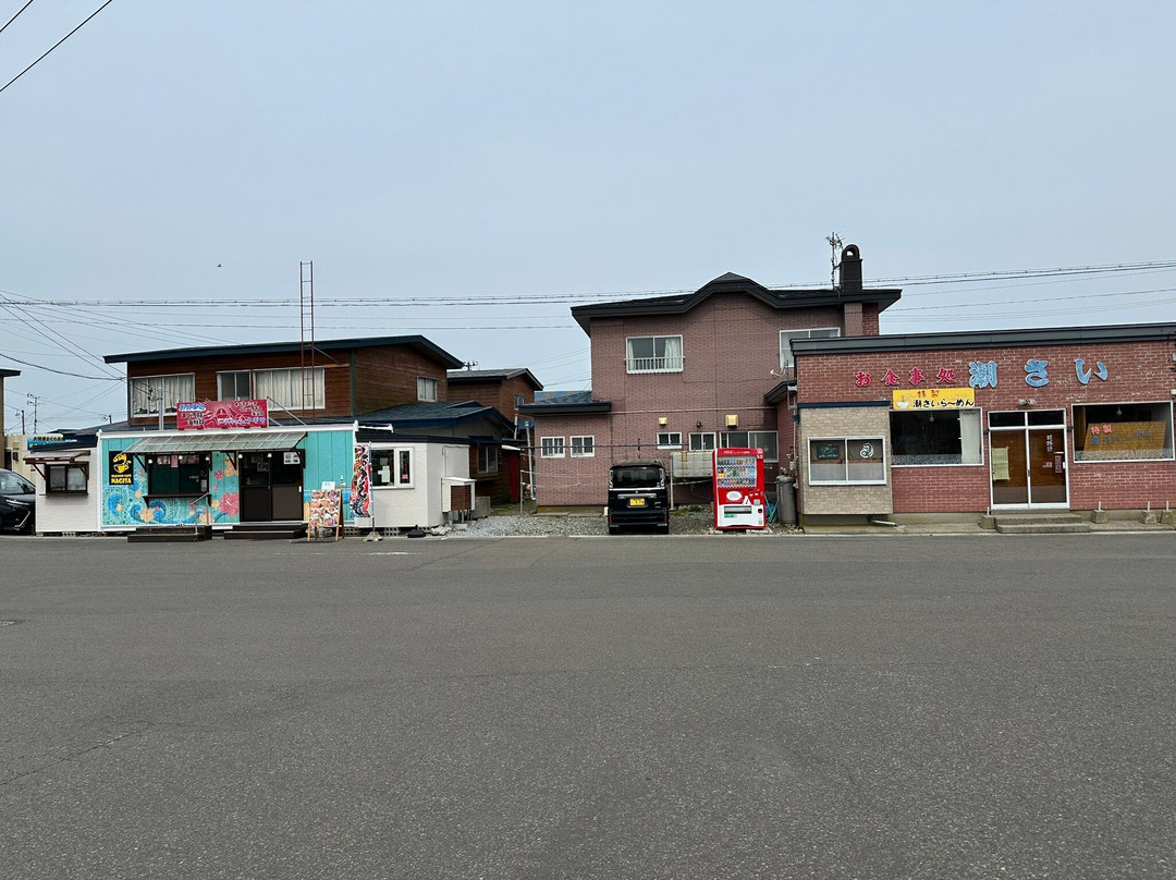 Omazaki  Cape-大间町 必去景点