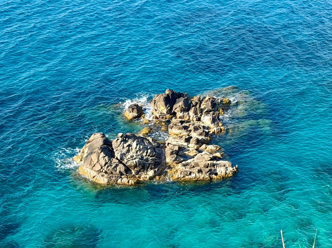 海洋花园民宿主图