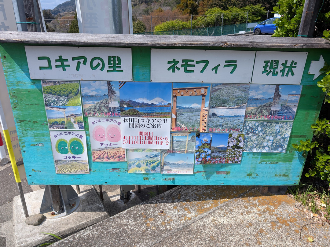 Nishihirahata Park-松田町必去景点