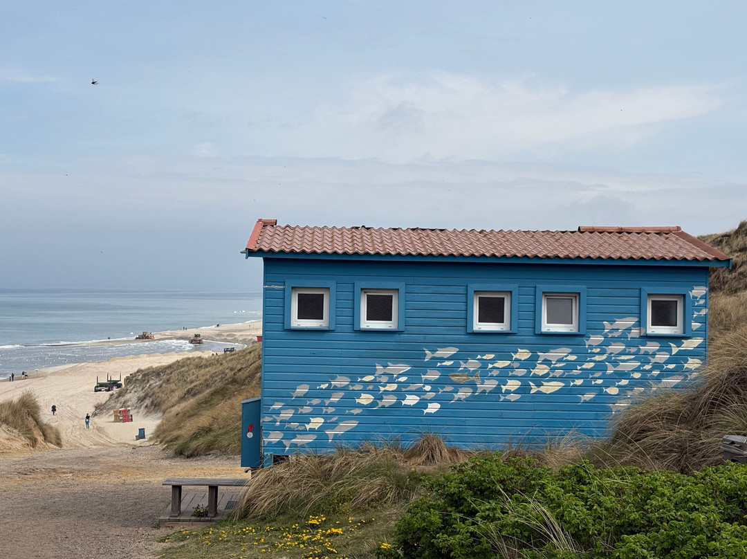 Strandübergang Wenningstedt-Wenningstedt-Braderup必去景点