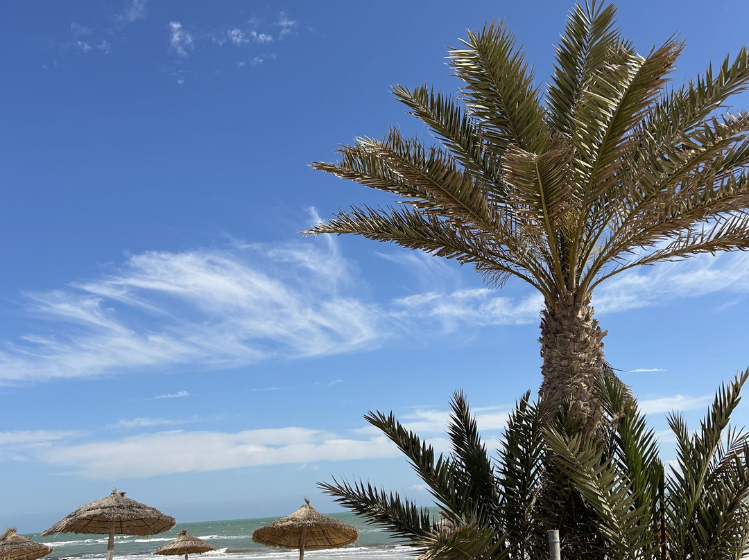 Aljazira Beach & Spa - Families and Couples Only主图
