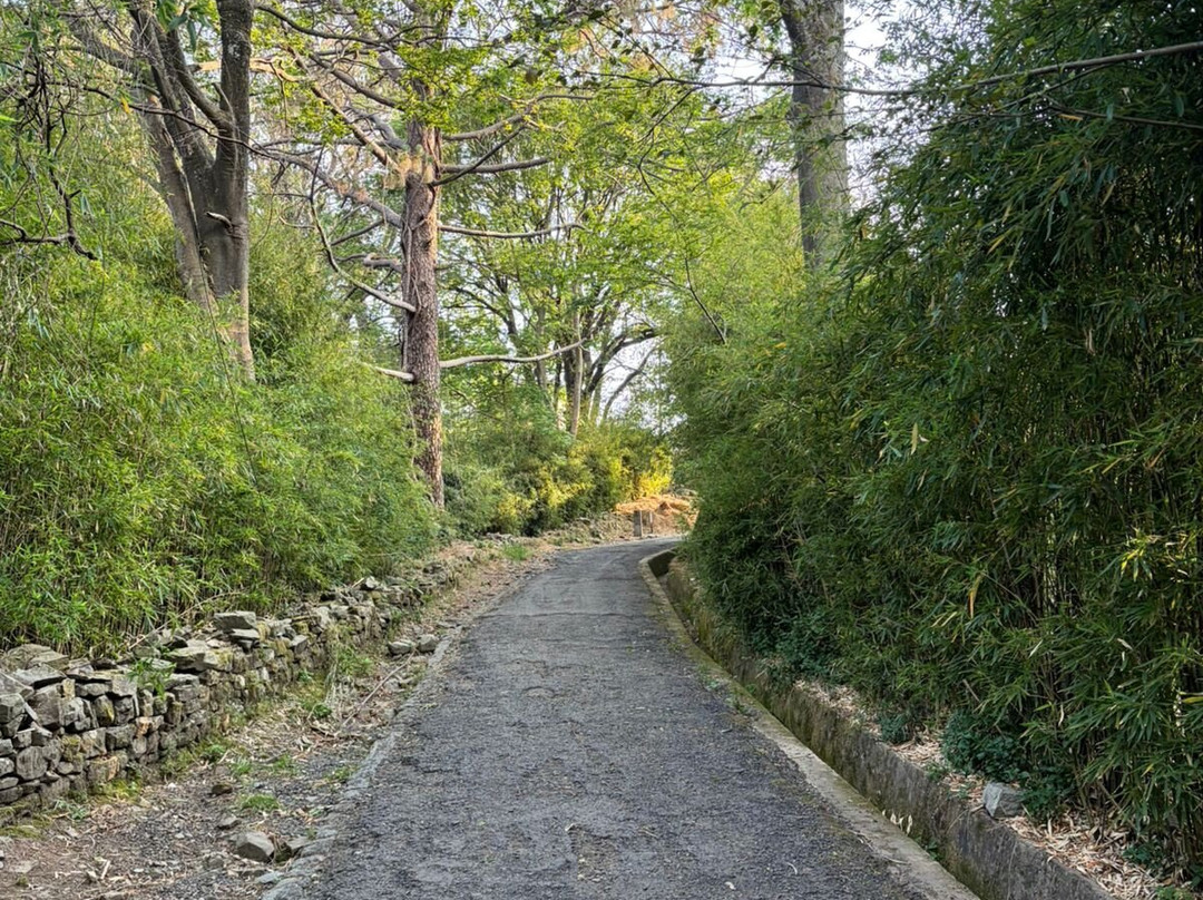 Gilbert Trail-Kasauli必去景点