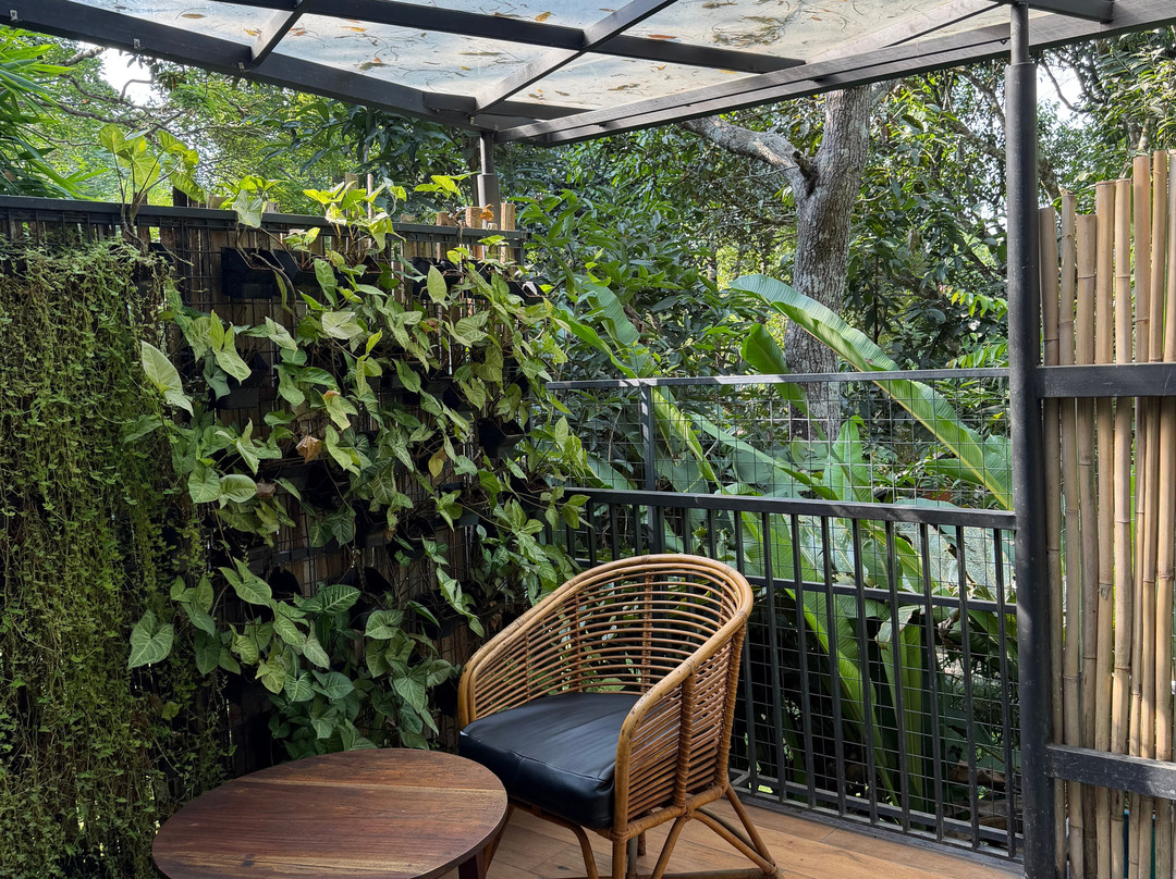 Crystal Kuruva Nature Resort & Spa主图