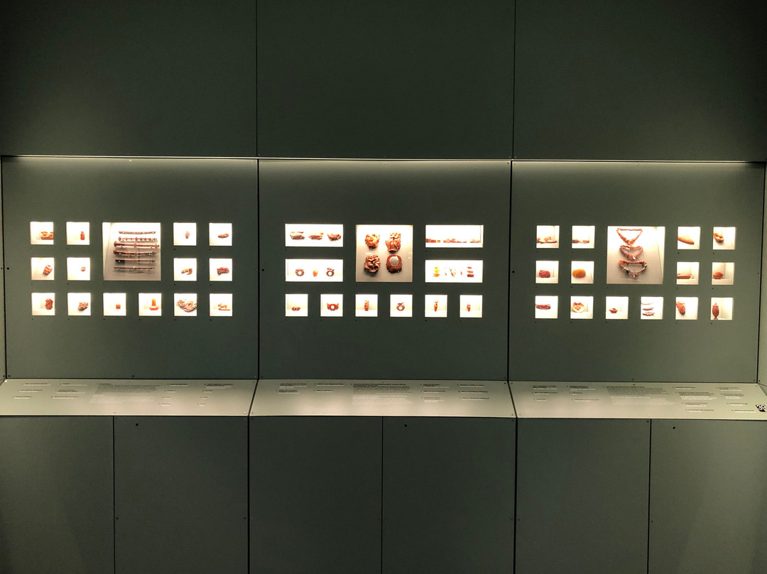 Museo Archeologico Nazionale di Aquileia-阿奎拉必去景点