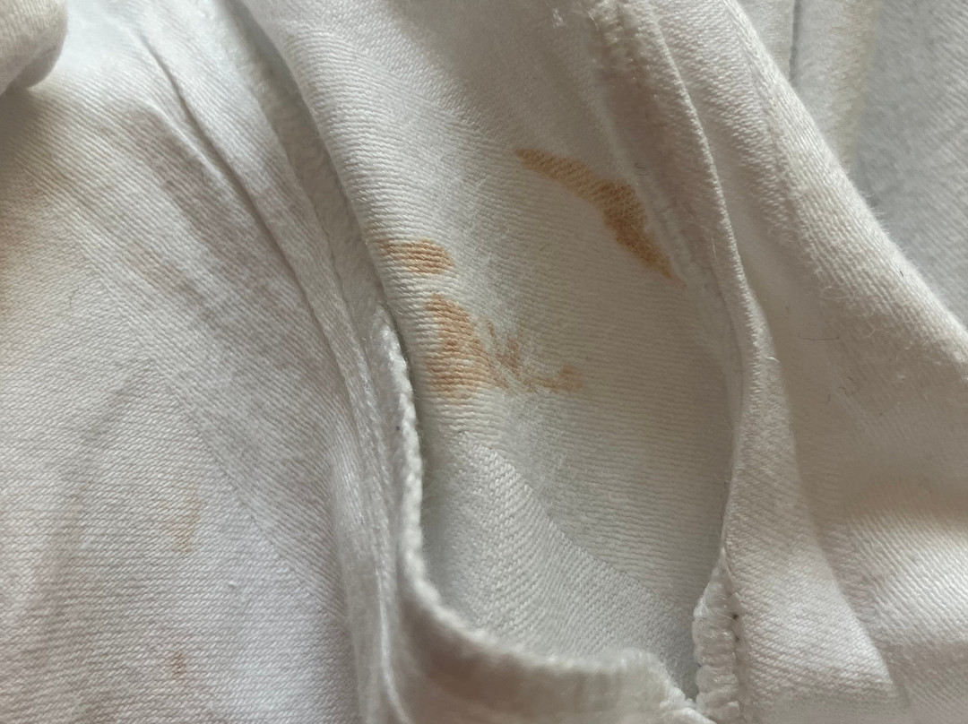 麦克唐纳德伯利兹特德水疗酒店主图
