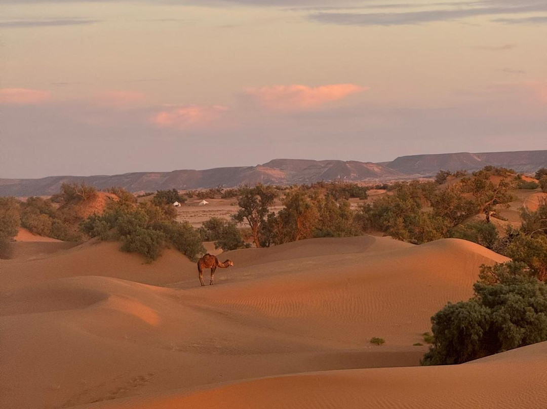My Sahara Trek-迈哈米德必去景点