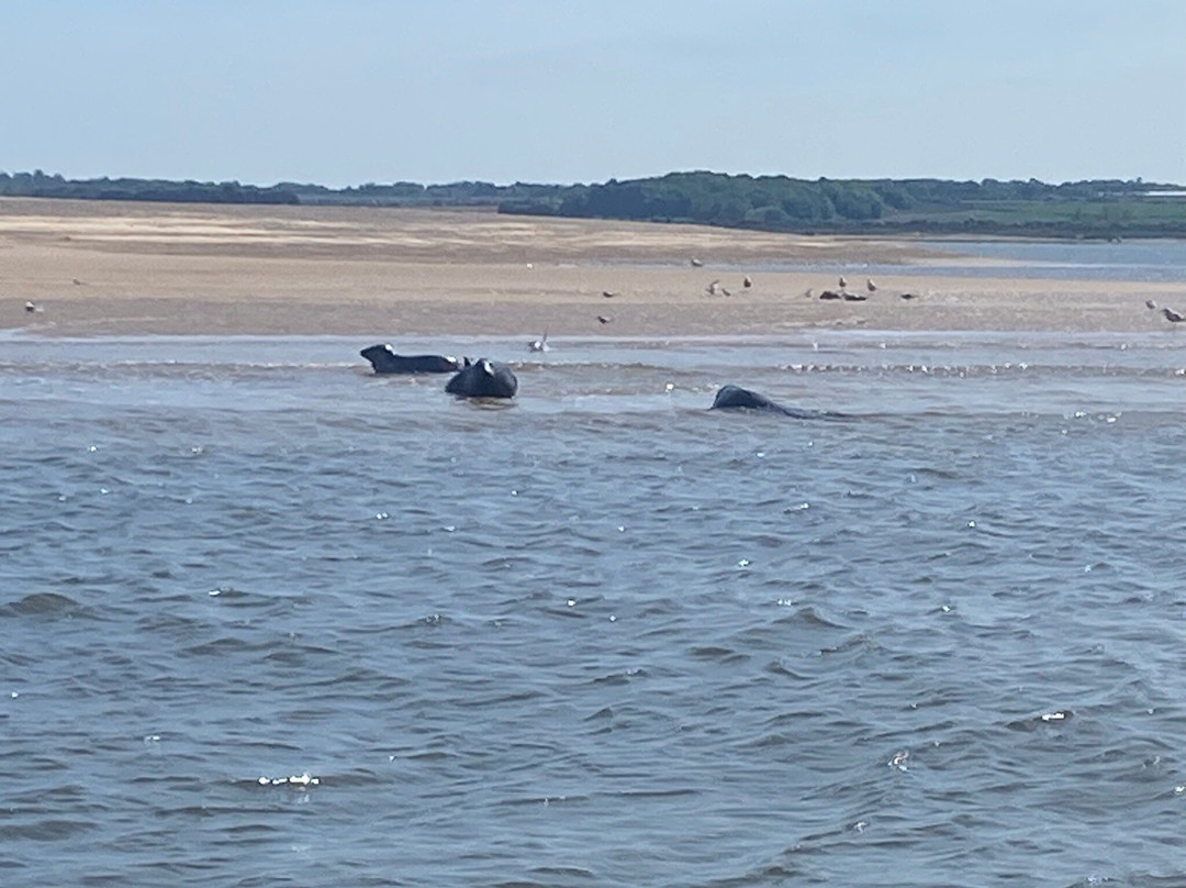 Bishops Boats Seal Trips-布莱克尼必去景点