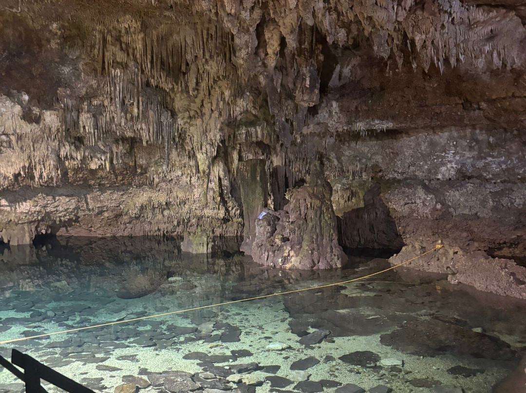 Punta Laguna Nature Reserve-图伦必去景点