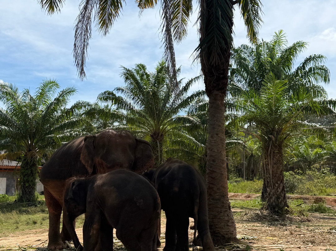 Following Giants - Krabi-Khlong Hin必去景点