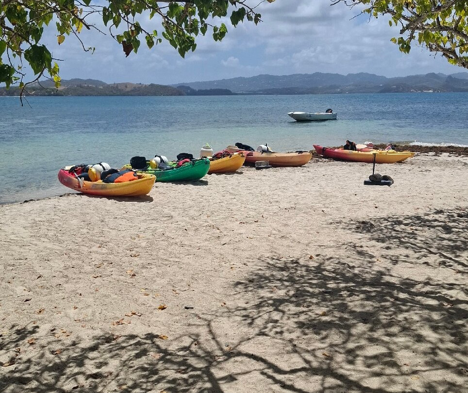 Les Kayaks des Ilets du Francois-Le Francois必去景点