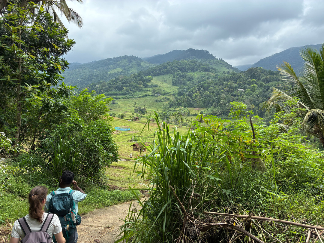 Sri Lanka Trekking-康提必去景点