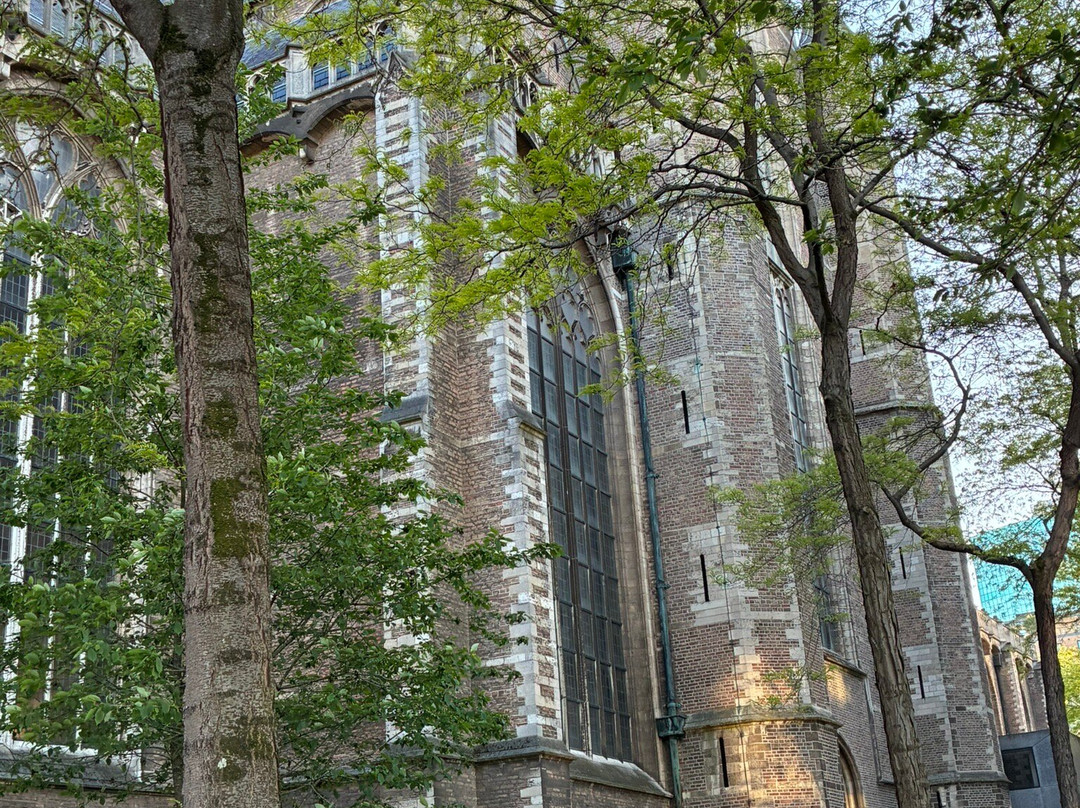 Grote of Sint-Laurenskerk-鹿特丹必去景点