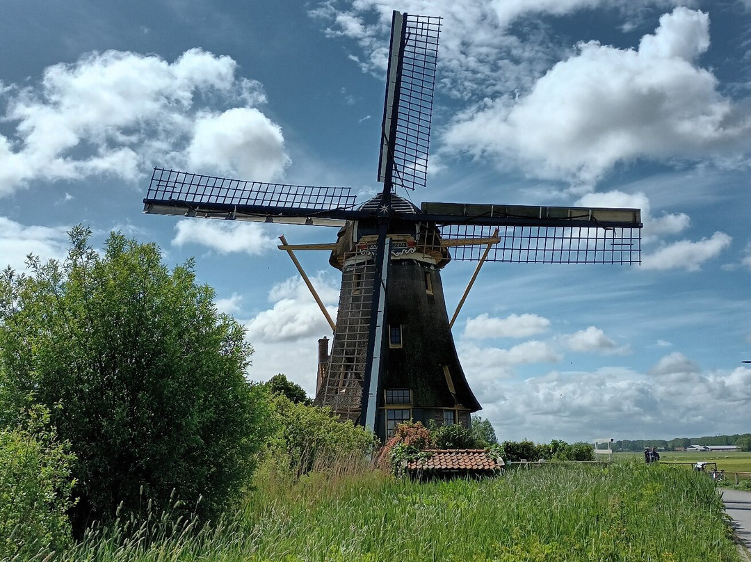 Garstenmolen (1876)