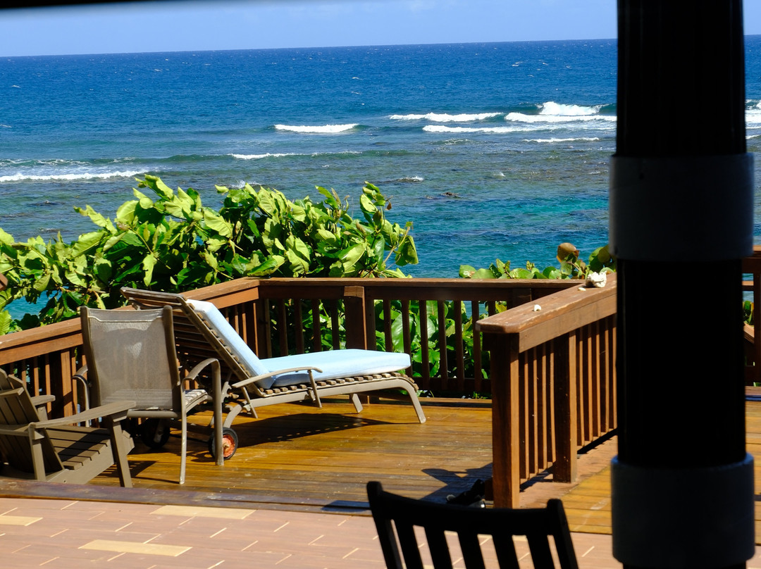 Villa Tropical Oceanfront Apartments on Shacks Beach主图
