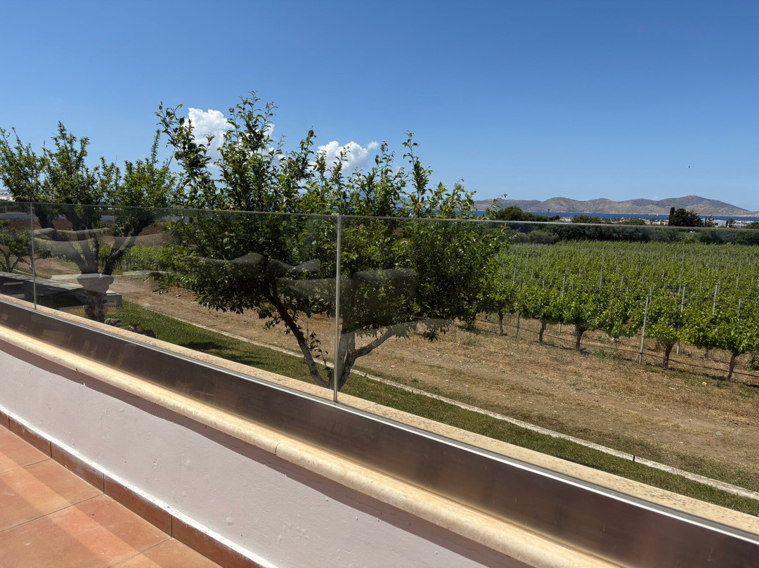 KTIMA AKRANI (Triantafyllopoulos Winery)-Asfendiou必去景点