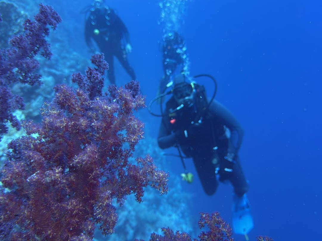 Red sea diving-赫尔格达必去景点