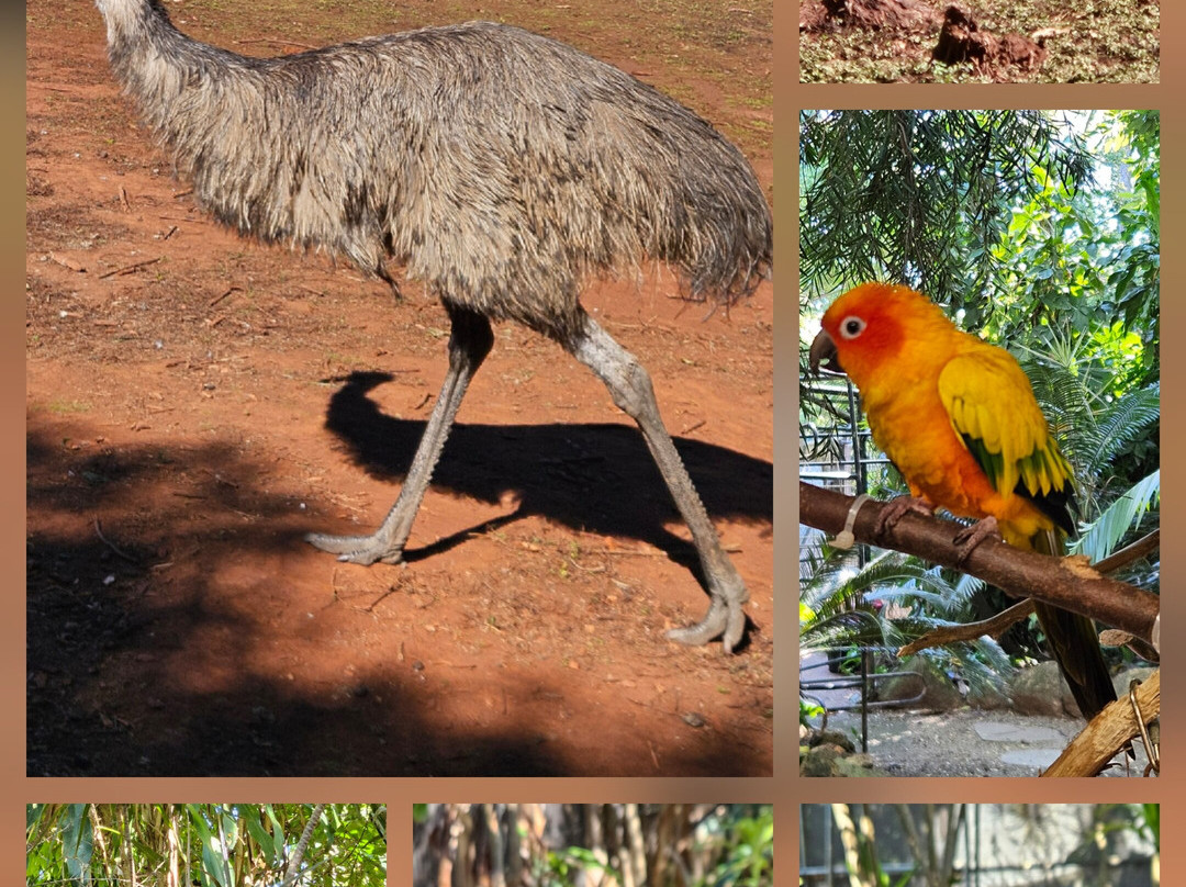 Cooberrie Park Wildlife Sanctuary-Yeppoon必去景点