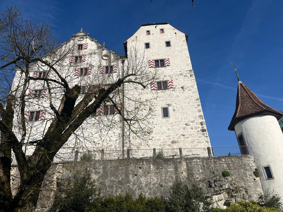 Schloss Wildegg-Wildegg必去景点