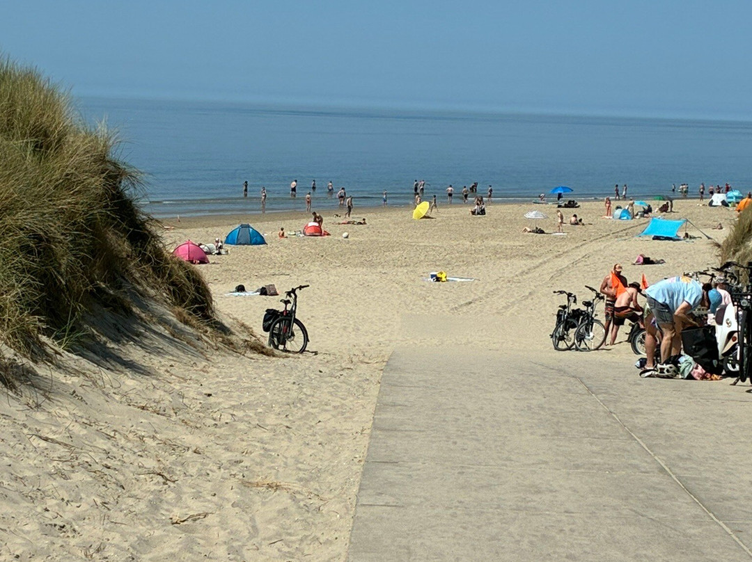 Petten aan zee-Petten必去景点