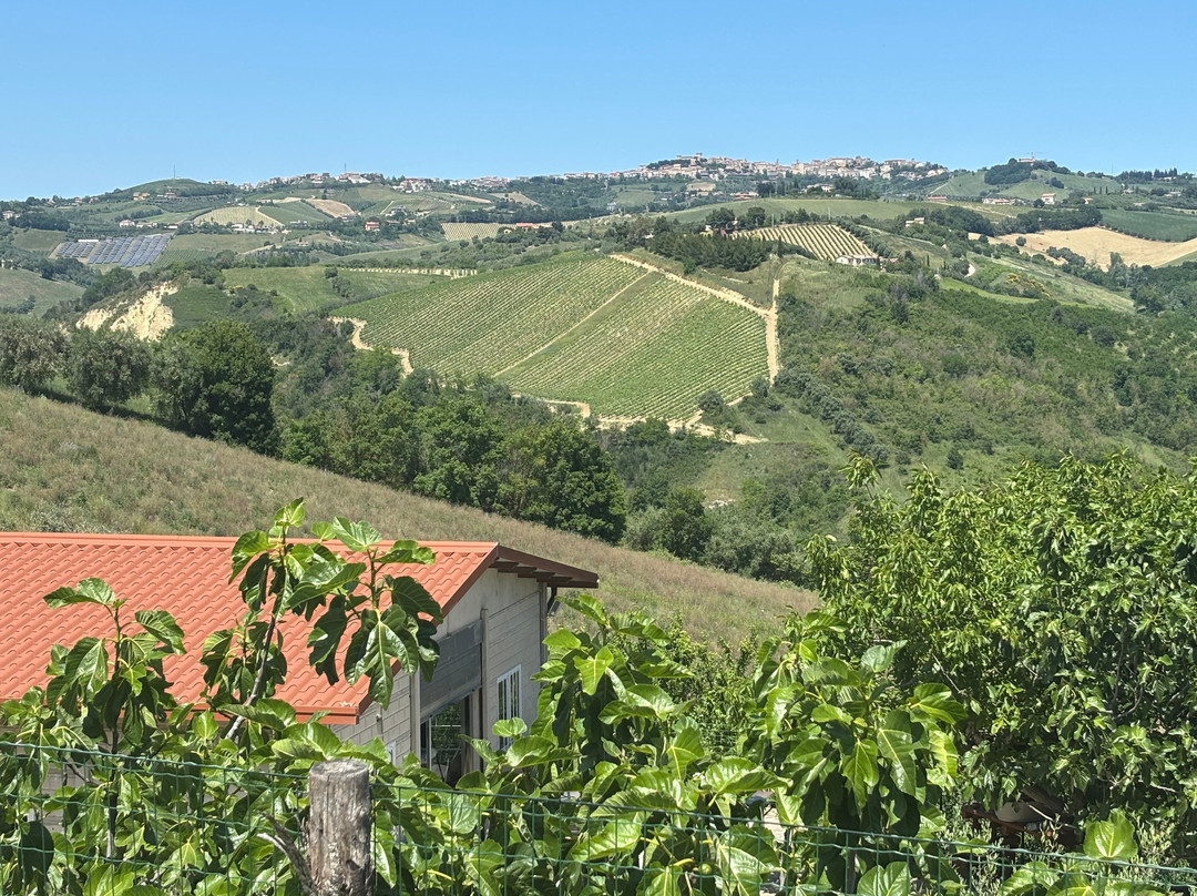 Agriturismo Villa Bussola主图