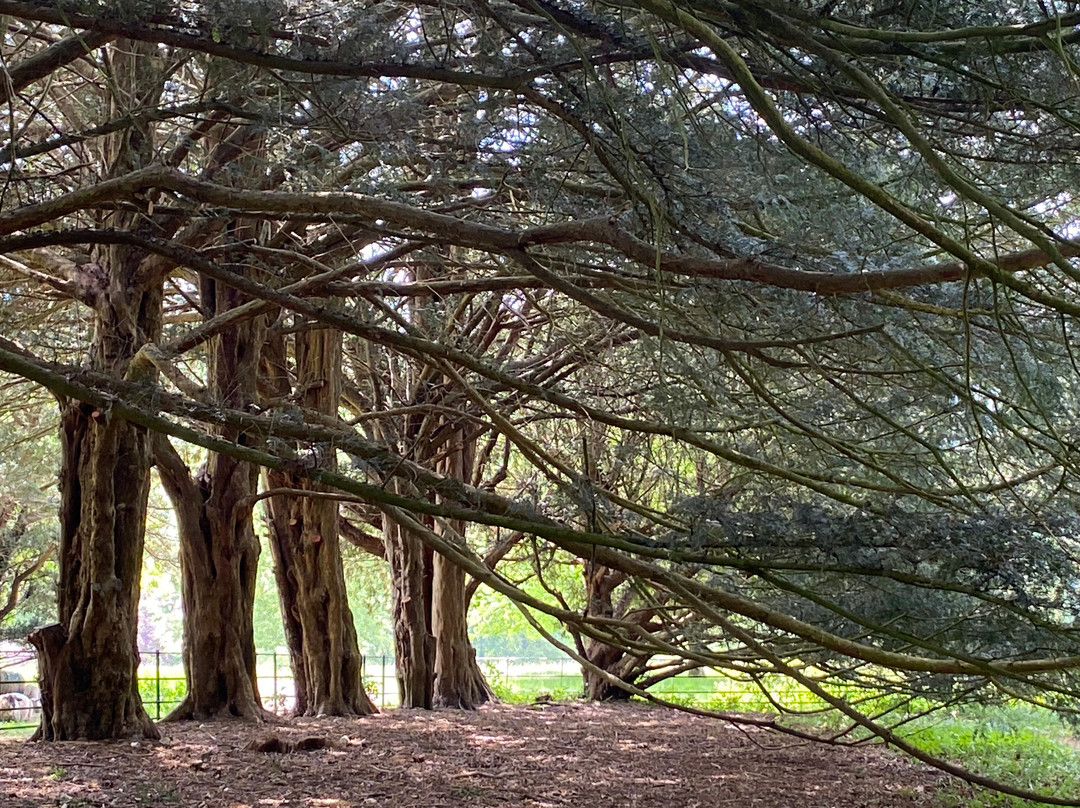 Doddington Place Gardens-Doddington必去景点
