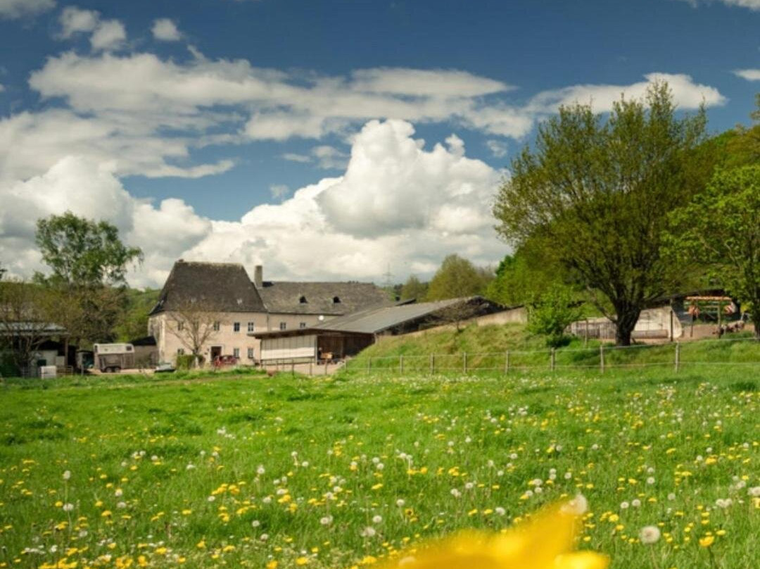 Zimmer auf dem Scheuerhof