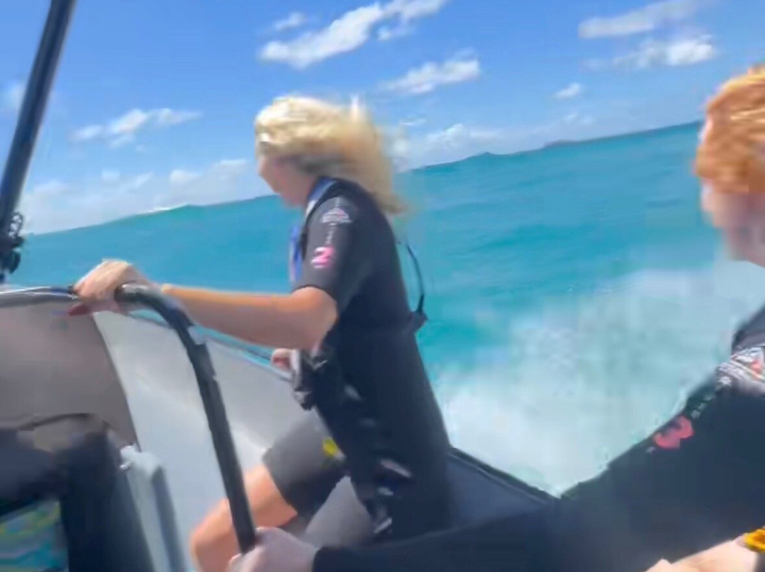 Tweed Turtle Tours-Tweed Heads South必去景点