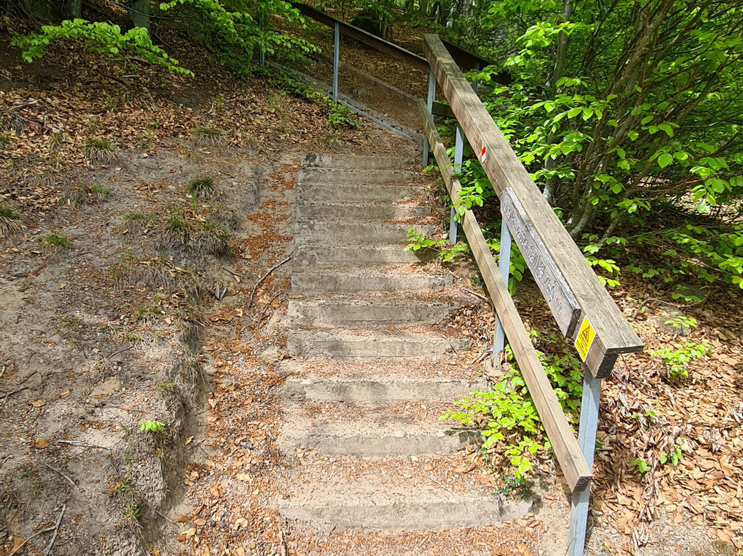 Forsakar Nature Reserve-Degeberga必去景点