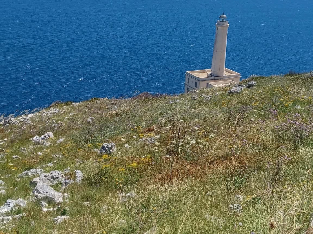 Faro di Punta Palascia-奥特朗托必去景点