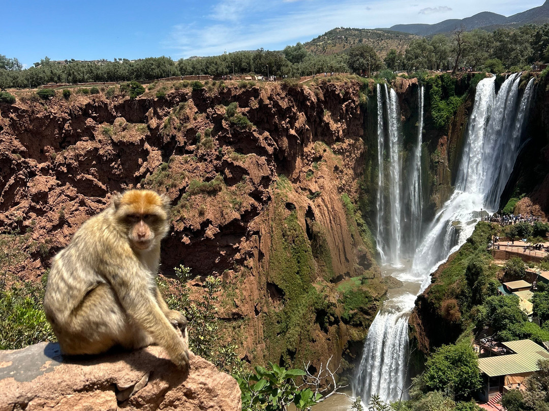 Morocco Travel Excursion-马拉喀什必去景点