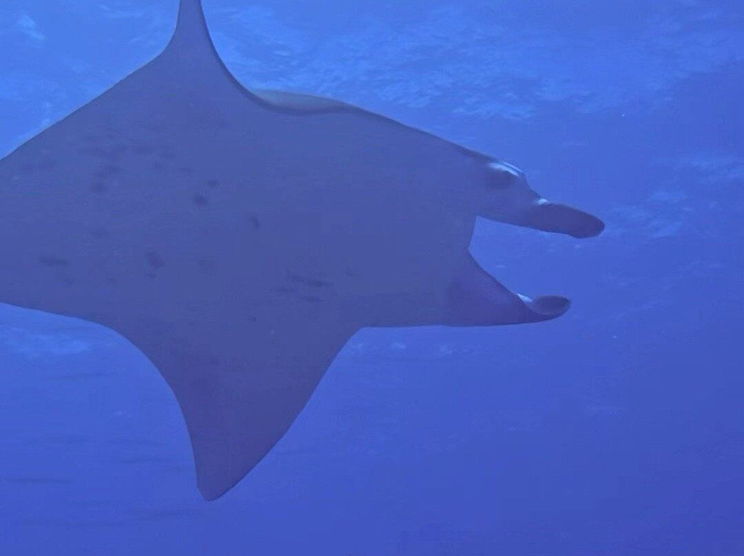 Addu Scuba Club-Hithadhoo Island必去景点