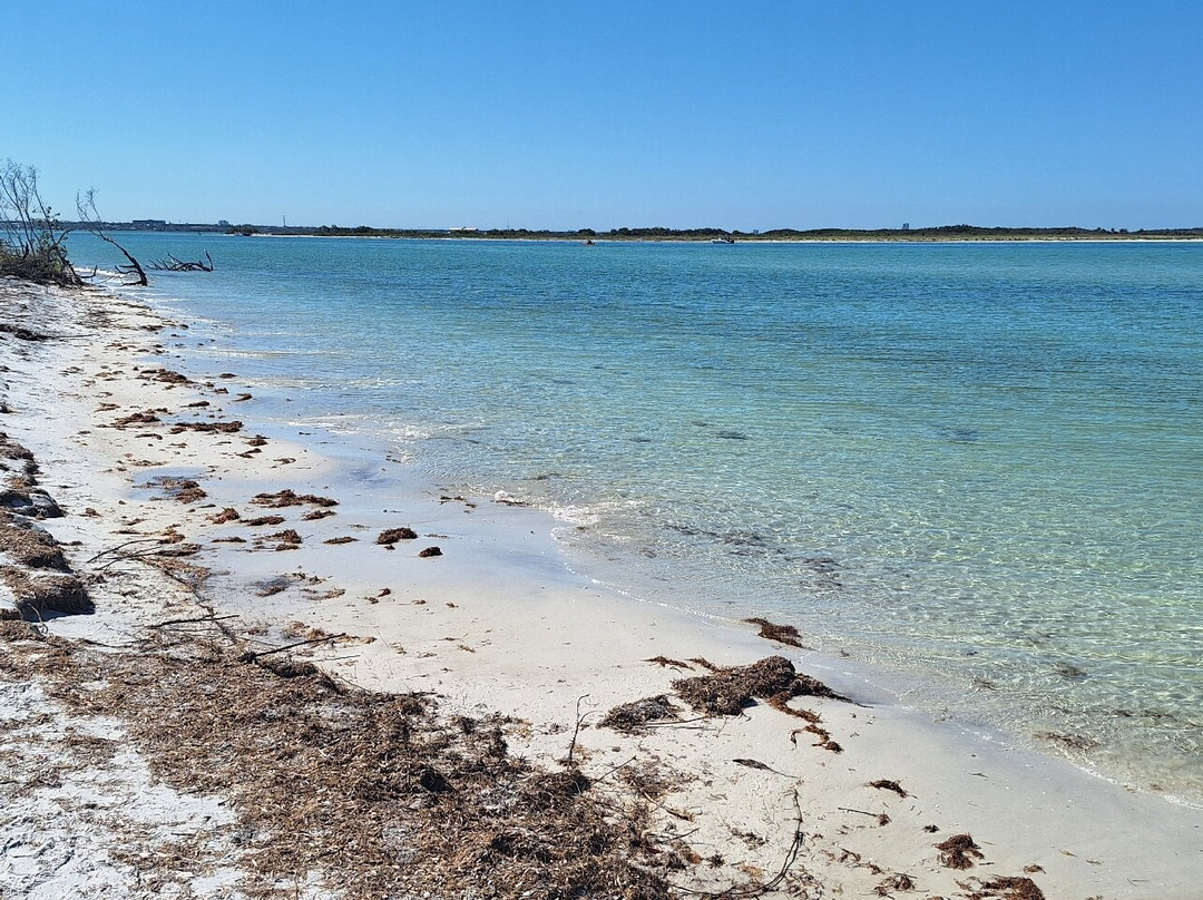 Honeymoon Island State Park-达尼丁必去景点