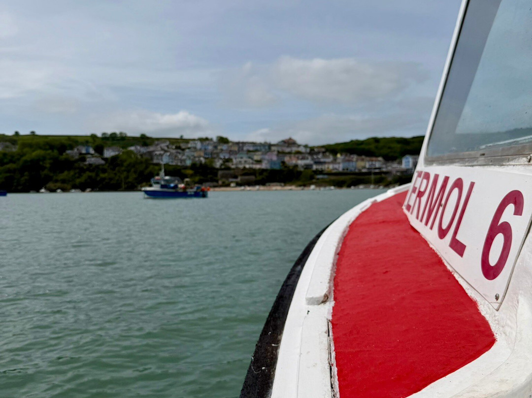 Dolphin Spotting Boat Trips (by New Quay Boat Trips)-纽基必去景点