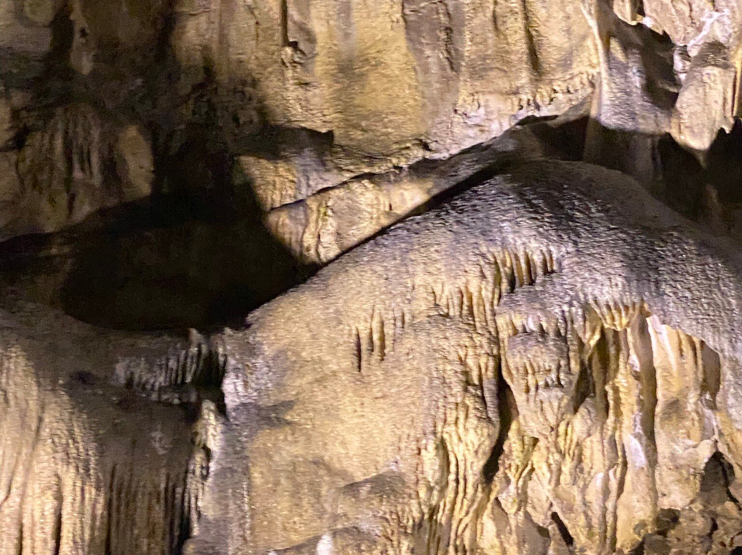Poole's Cavern & Buxton Country Park-巴克斯顿必去景点