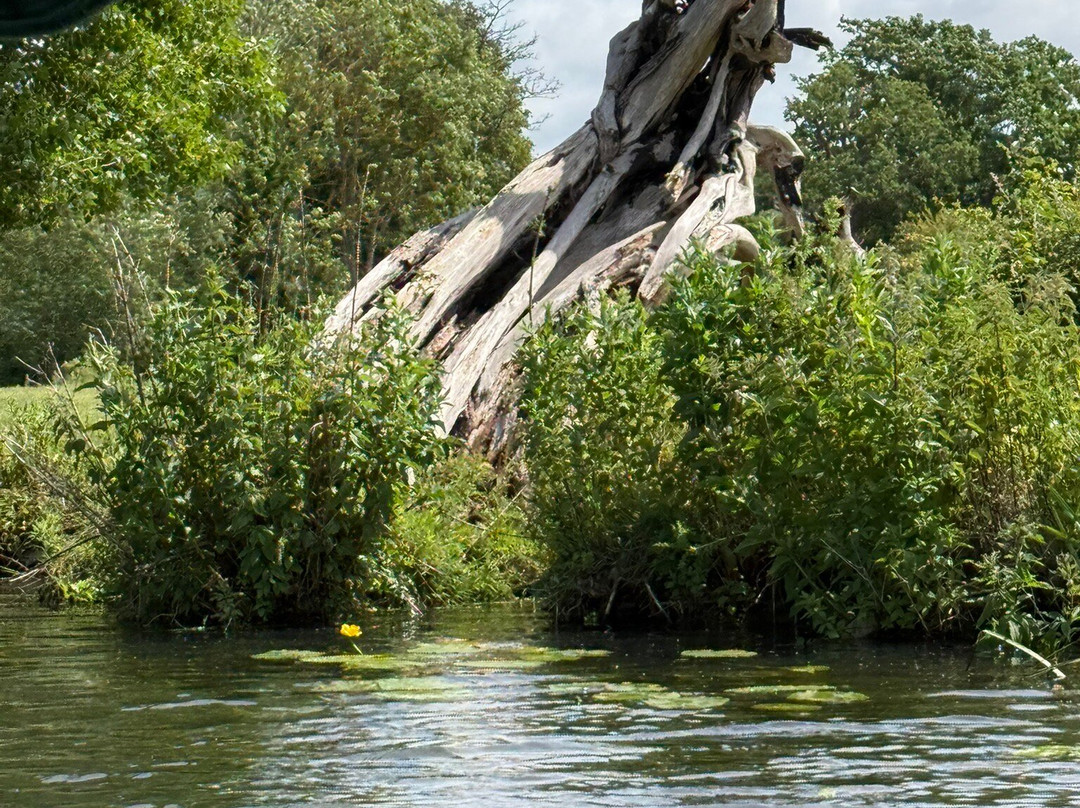 River Stour Trust Dedham Vale Boat Trips-East Bergholt必去景点